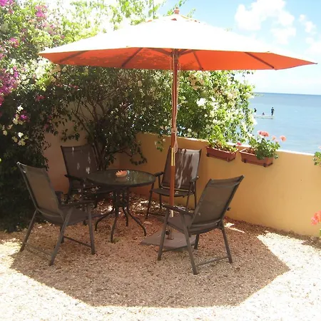 Le Cactus Guest House